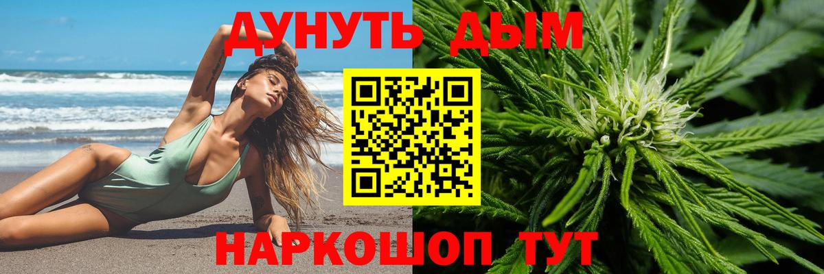 Конопля OG Kush Бердск